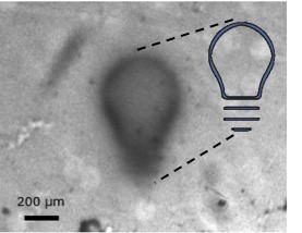 Soft Continuous Surface for Micromanipulation driven by Light-controlled Hydrogels