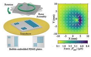 Amplification of Acoustic Forces Using Microbubble Arrays Enables Manipulation of Centimeter-Scale Objects
