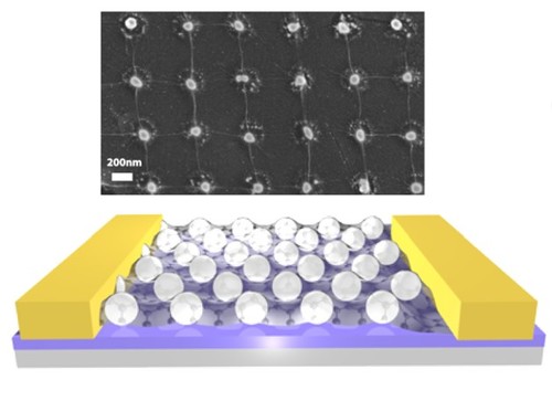 Investigating photoresponsivity of graphene-silver hybrid nanomaterials in the ultraviolet