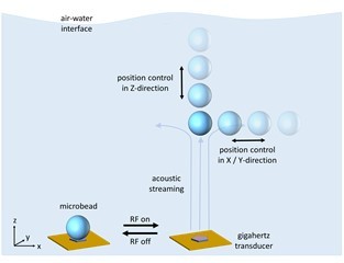 Acoustofluidic Tweezers for the 3D Manipulation of Microparticles