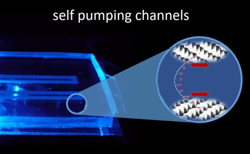 Microchannels with Self-Pumping Walls